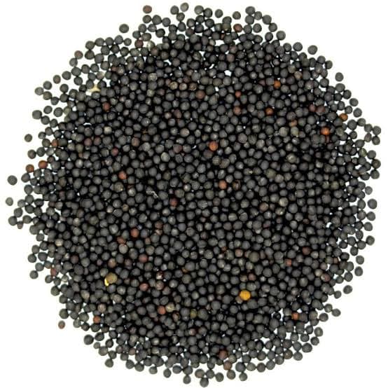 Canola Seeds – Global Sourcing & Trading — Canola Seeds – Global Sourcing & Trading