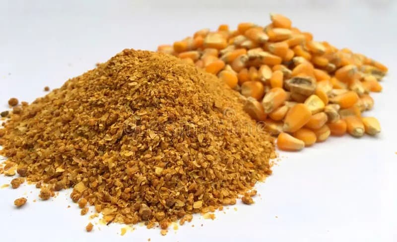Premium Corn DDGS Portfolio — Corn DDGS – Global Sourcing & Trading