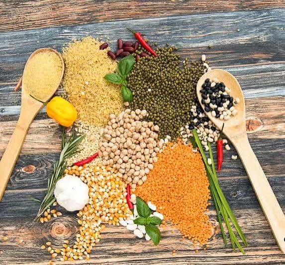 Global Supply Solutions — Lentils & Pulses Trading & Supply