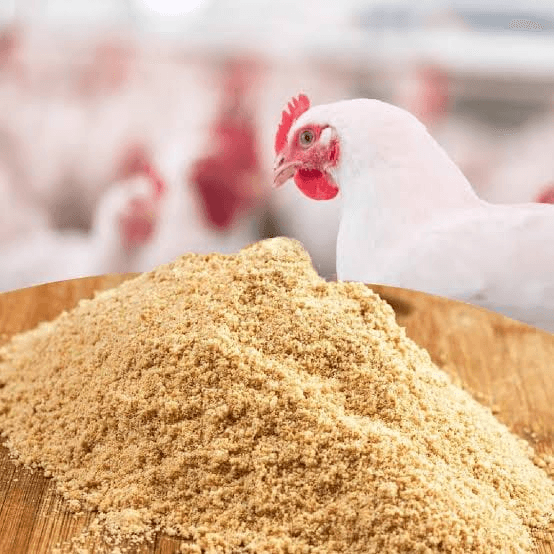 Poultry Meal – Global Sourcing & Trading — Poultry Meal – Global Sourcing & Trading