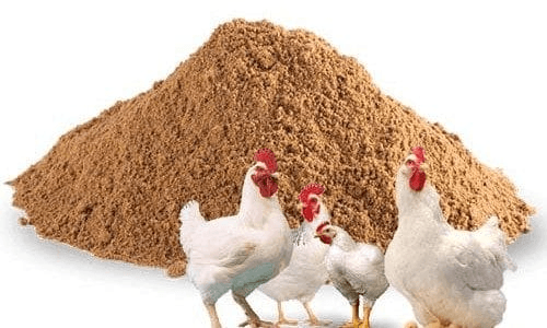 Premium Poultry Meal Portfolio — Poultry Meal – Global Sourcing & Trading