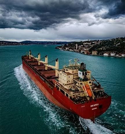 International Trade Routes — International Bulk Chartering & Maritime Logistics